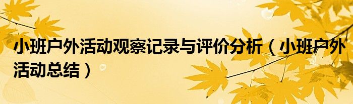 小班户外活动观察记录与评价分析（小班户外活动总结）