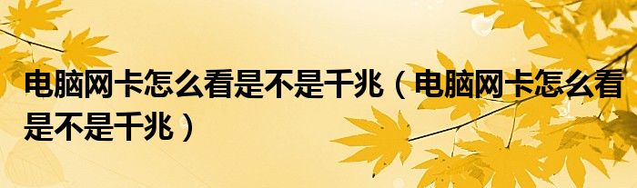 电脑网卡怎么看是不是千兆（电脑网卡怎么看是不是千兆）