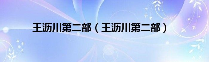 王沥川第二部（王沥川第二部）