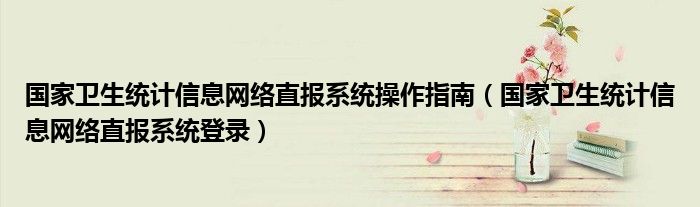 国家卫生统计信息网络直报系统操作指南（国家卫生统计信息网络直报系统登录）
