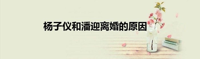 杨子仪和潘迎离婚的原因