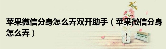 苹果微信分身怎么弄双开助手（苹果微信分身怎么弄）