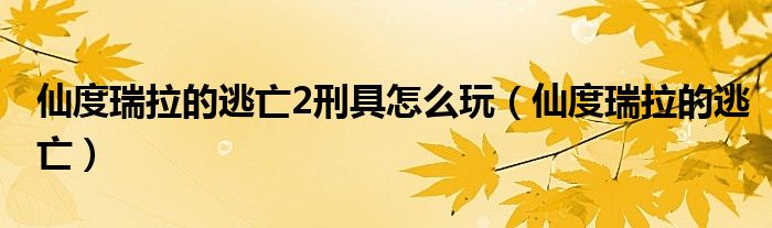 仙度瑞拉的逃亡2刑具怎么玩（仙度瑞拉的逃亡）