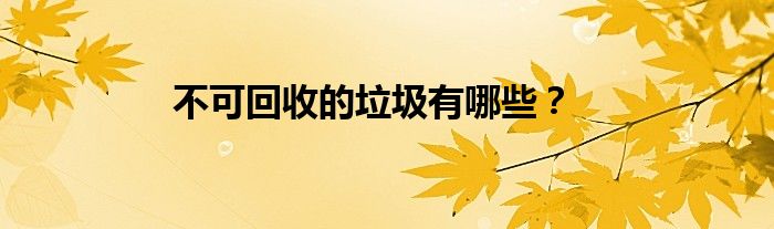 不可回收的垃圾有哪些？