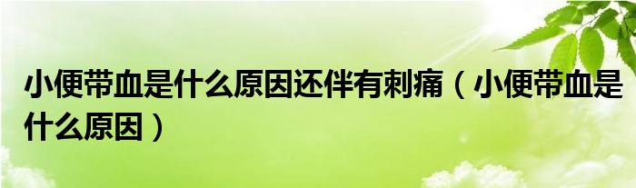 小便带血是什么原因还伴有刺痛（小便带血是什么原因）