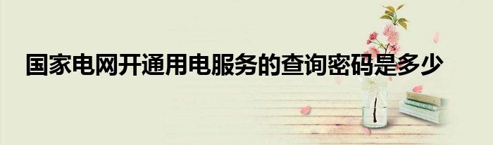 国家电网开通用电服务的查询密码是多少