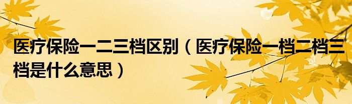 医疗保险一二三档区别（医疗保险一档二档三档是什么意思）
