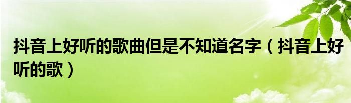抖音上好听的歌曲但是不知道名字（抖音上好听的歌）