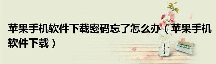 苹果手机软件下载密码忘了怎么办（苹果手机软件下载）