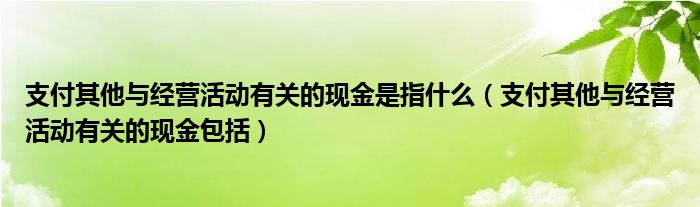 支付其他与经营活动有关的现金是指什么（支付其他与经营活动有关的现金包括）