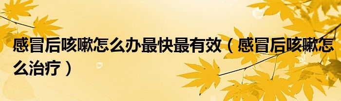 感冒后咳嗽怎么办最快最有效（感冒后咳嗽怎么治疗）