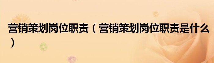 营销策划岗位职责（营销策划岗位职责是什么）