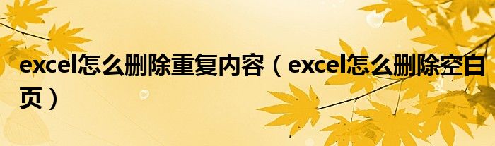 excel怎么删除重复内容（excel怎么删除空白页）