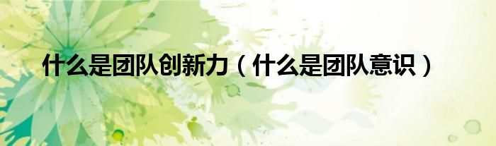什么是团队创新力（什么是团队意识）