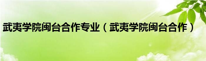 武夷学院闽台合作专业（武夷学院闽台合作）