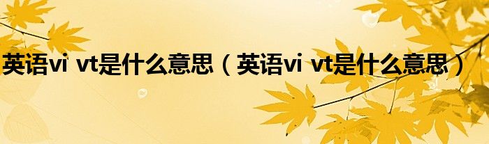 英语vi vt是什么意思（英语vi vt是什么意思）