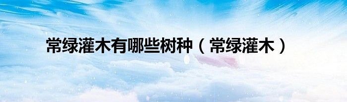 常绿灌木有哪些树种（常绿灌木）