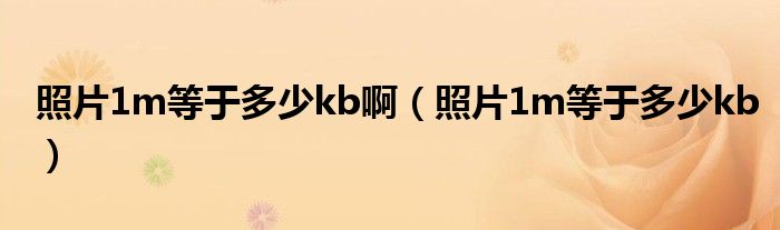 照片1m等于多少kb啊（照片1m等于多少kb）