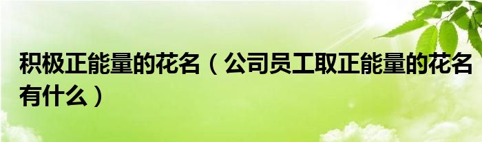 积极正能量的花名（公司员工取正能量的花名有什么）