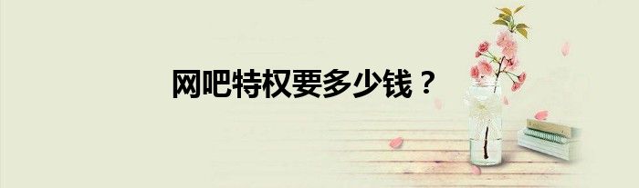 网吧特权要多少钱？