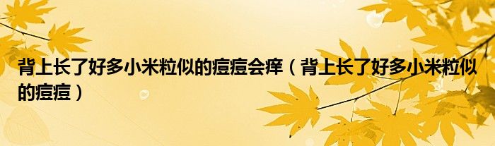 背上长了好多小米粒似的痘痘会痒（背上长了好多小米粒似的痘痘）
