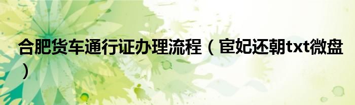 合肥货车通行证办理流程（宦妃还朝txt微盘）