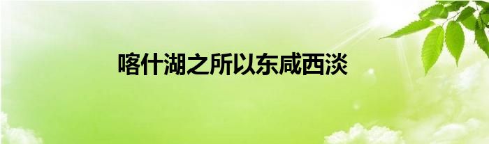 喀什湖之所以东咸西淡