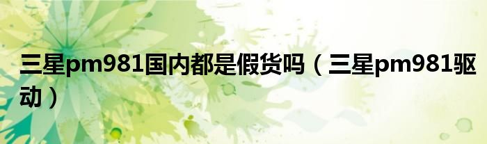 三星pm981国内都是假货吗（三星pm981驱动）