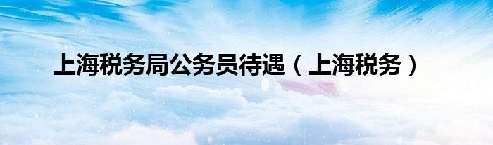 上海税务局公务员待遇（上海税务）