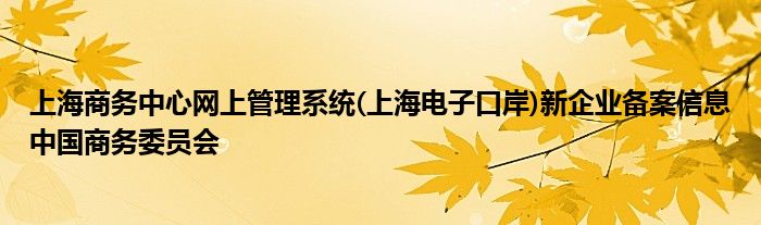 上海商务中心网上管理系统(上海电子口岸)新企业备案信息中国商务委员会