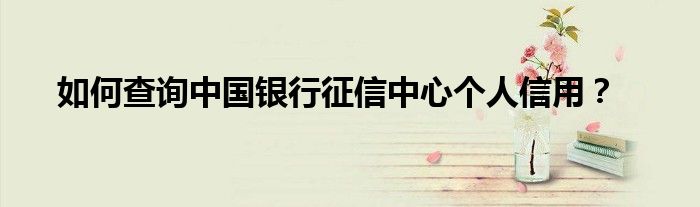 如何查询中国银行征信中心个人信用？