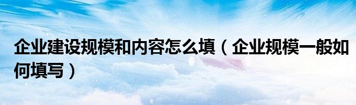 企业建设规模和内容怎么填（企业规模一般如何填写）