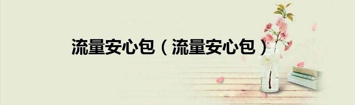流量安心包（流量安心包）
