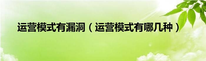 运营模式有漏洞（运营模式有哪几种）