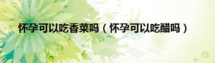 怀孕可以吃香菜吗(怀孕可以吃醋吗)