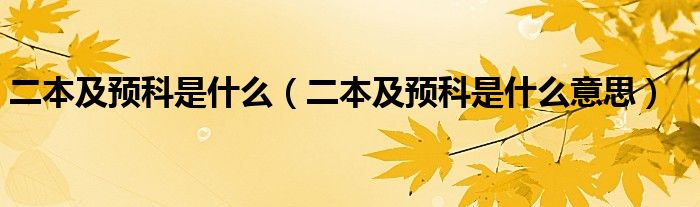 二本及预科是什么（二本及预科是什么意思）