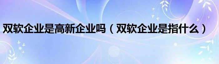 双软企业是高新企业吗（双软企业是指什么）
