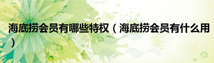 海底捞会员有哪些特权（海底捞会员有什么用）