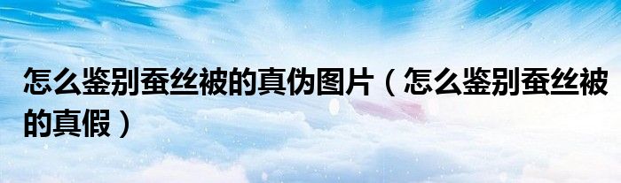 怎么鉴别蚕丝被的真伪图片（怎么鉴别蚕丝被的真假）
