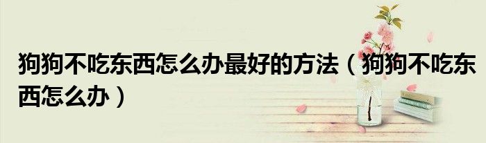 狗狗不吃东西怎么办最好的方法（狗狗不吃东西怎么办）