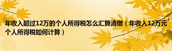 年收入超过12万的个人所得税怎么汇算清缴（年收入12万元个人所得税如何计算）