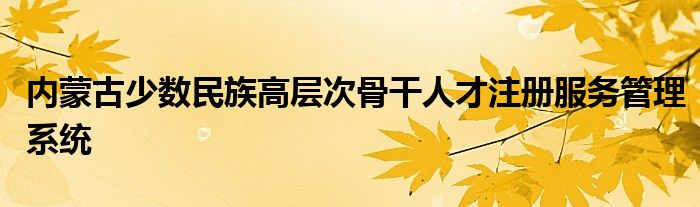 内蒙古少数民族高层次骨干人才注册服务管理系统