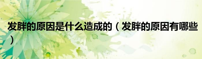 发胖的原因是什么造成的（发胖的原因有哪些）