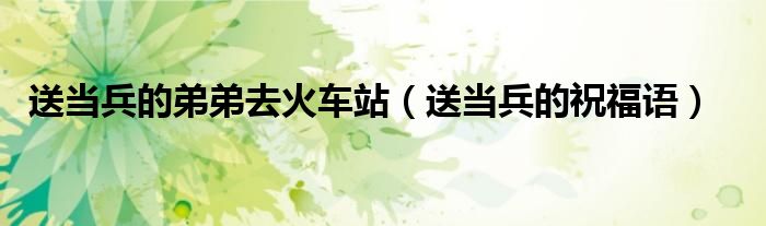 送当兵的弟弟去火车站（送当兵的祝福语）