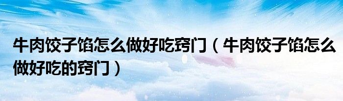 牛肉饺子馅怎么做好吃窍门（牛肉饺子馅怎么做好吃的窍门）