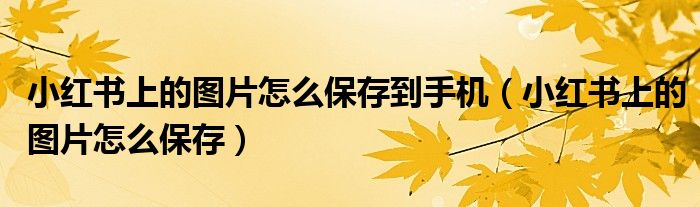 小红书上的图片怎么保存到手机（小红书上的图片怎么保存）