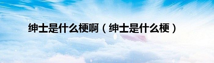 绅士是什么梗啊（绅士是什么梗）