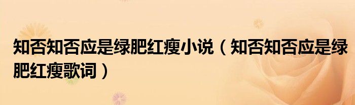 知否知否应是绿肥红瘦小说（知否知否应是绿肥红瘦歌词）