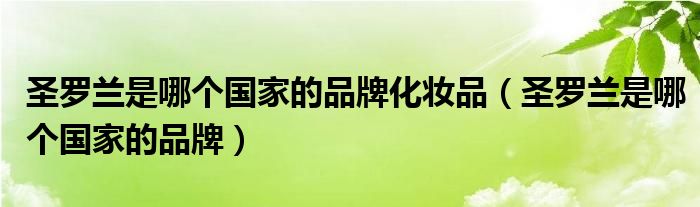 圣罗兰是哪个国家的品牌化妆品(圣罗兰是哪个国家的品牌)