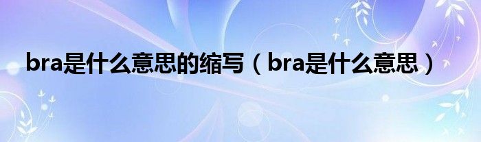 bra是什么意思的缩写（bra是什么意思）